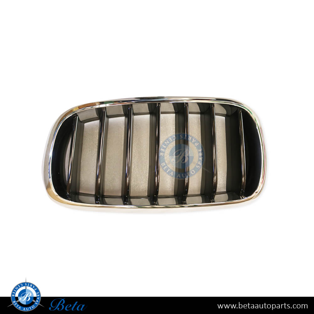 Left Side Radiator Grille - Black and Chrome for BMW X6 F16 2015-2018 models, Part Number 51137373689 Left Side Radiator Grille - Black and Chrome for BMW X6 F16 2015-2018 models, Part Number 51137373689